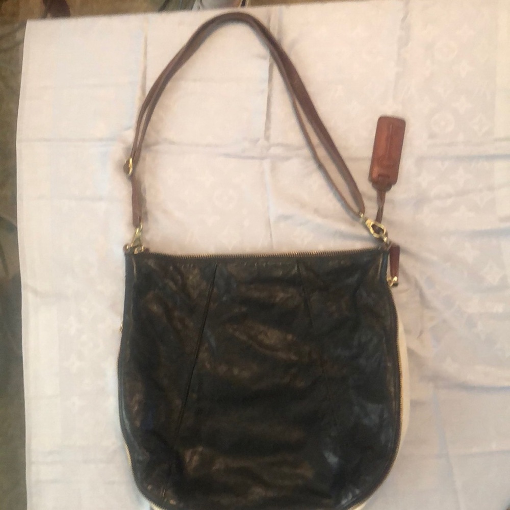 Fossil Pebbled Leather Hobo Bag
